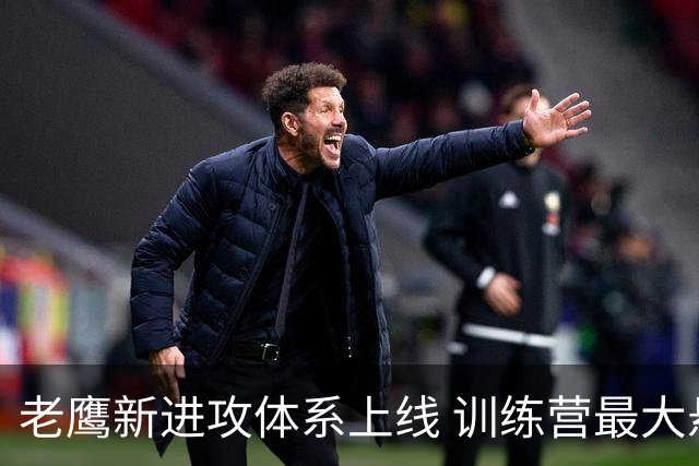 老鹰新进攻体系上线 训练营最大悬念直接压在赫茨身上